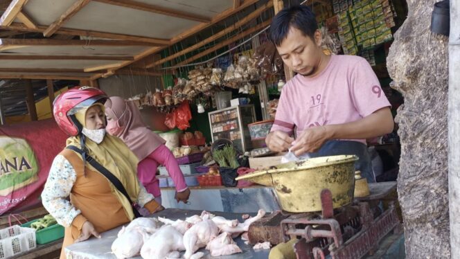 
					Berkah Maulid, Penjualan Daging Ayam Laris Manis