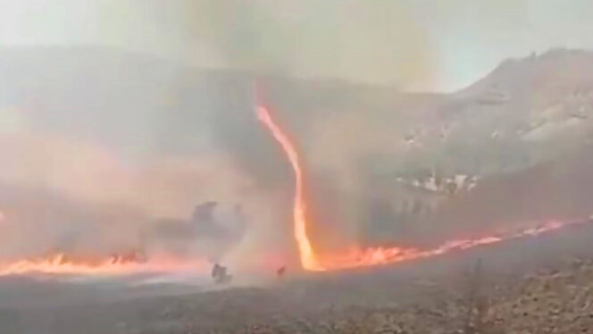 
					Muncul angin Tornado api saat savana Bromo Terbakar.