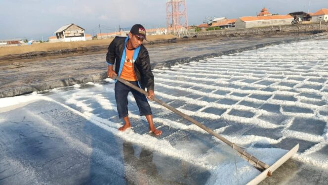 
					MURAH: Suparyono, petani garam asal Desa Kalibuntu, Kecamatan Kraksaan, Kabupaten Probolinggo, sedang bersiap panen garam. (foto: Ali Ya'lu)