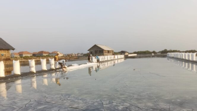 
					SPEKULATIF: Memproduksi garam dinilai sangat spekulatif sehingga ditinggal oleh petani di Kabupaten Probolinggo. (foto: Ali Ya'lu).