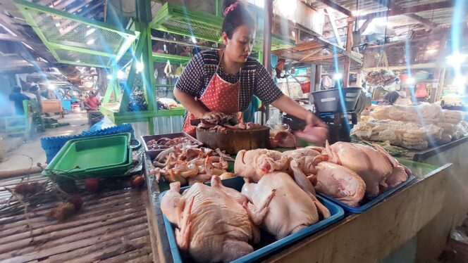 
					MEROKET: Pedagang ayam potong di Pasar Baru Kota Probolinggo sedang menunggu pembeli yang menurun akibat tingginya harga jual ayam potong. (foto: Hafiz Rozani).