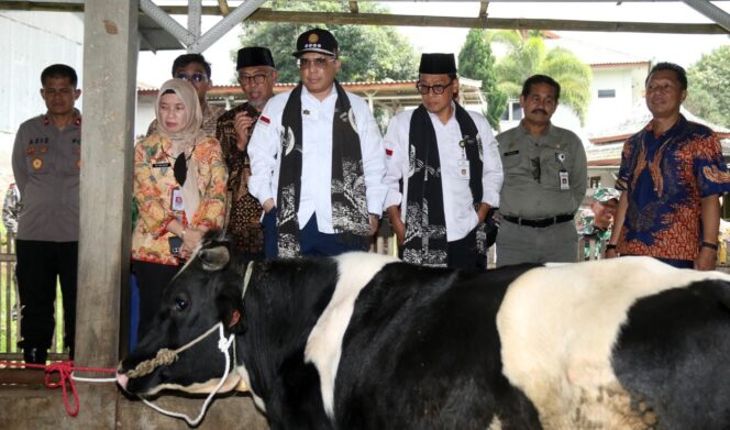 
					ANTUSIAS: Wakil Menteri Pertanian, Harvick Hasnul Qolbi, melakukan kunjungan ke Pasuruan pada Jumat (15/12/2023) siang. (foto: Moh.Rois).