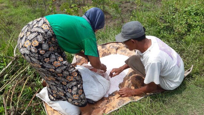 
					Dua orang petani di Kabupaten Probolinggo tengah mempersiapkan pupuk untuk ditabur ke tanamannya. (foto: Ali Yak'lu)