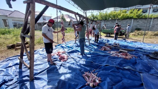 
					JAGAL: Suasana pemotongan hewan di RPH Krejengan, Kabupaten Probolinggo beberapa waktu lalu. (foto: dok).