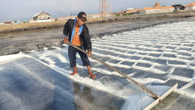 
					PROSES: Seorang petani garam di Desa Kalibuntu sedang memproduksi garam di lahan tambaknya. (Foto: Ali Ya'lu)