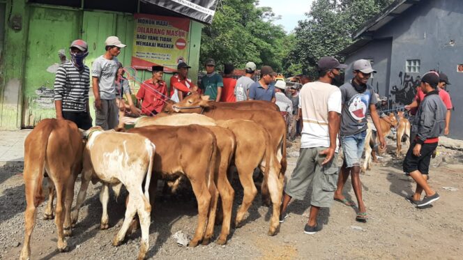 
					MELIMPAH: Suasana keramaian Pasar Hewan Besuk di Kecamatan Besuk pada Kamis (9/2/2024) kemarin. (foto: Ali Ya'lu).