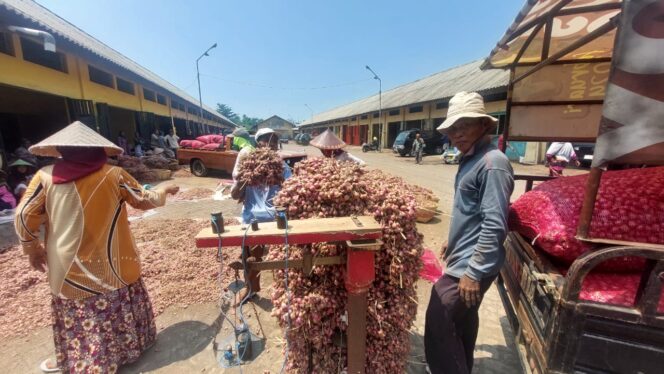 
					GAGAL BERSAING: Bawang merah di sejumlah pedagang di Pasar Bawang Dringu, Kabupaten Probolinggo. (foto: Hafiz Rozani).