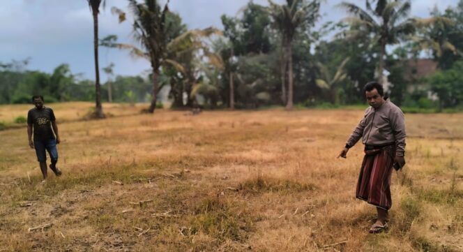 
					KEKERINGAN: Warga Desa Sentul, Kec. Sumbersuko, Kab. Lumajang, menunjukkan area persawahan yang mengalami kekeringan. (foto: Asmadi).