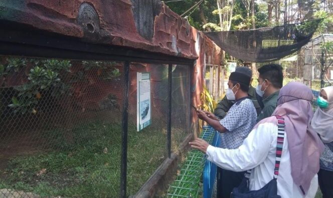 
					RAMAI: Sejumlah pengunjung tengah melihat satwa yang berada di TWSL Kota Probolinggo (foto: Istimewa)