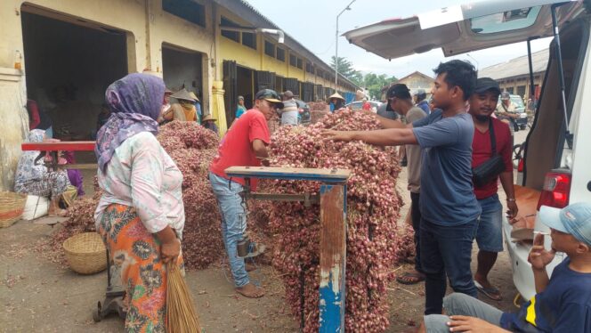 
					MEROKET: Pedagang sedang menimbang bawang merah di Pasar Bawang Dringu, Kab. Probolinggo. (foto: Hafiz Rozani).