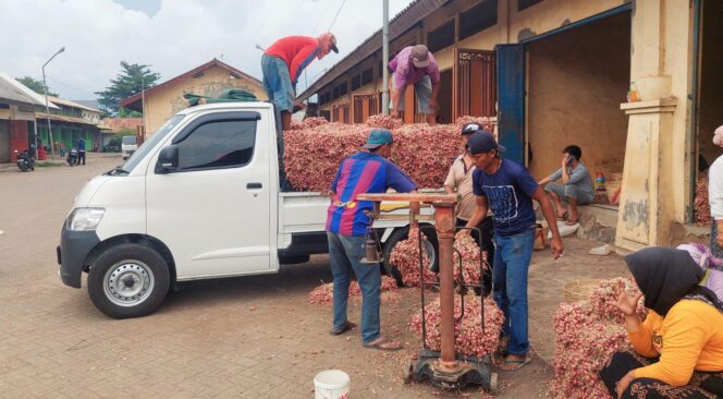 
					MASIH MAHAL: Aktifitas para pedagang bawang merah di Pasar Bawang Dringu Probolinggo. Harga bawang merah dinilai masih mahal. (foto: Hafiz Rozani).