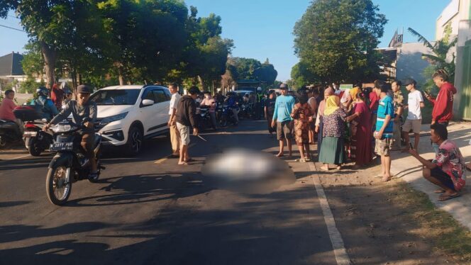 
					TAK BERNYAWA: Kondisi korban pasca terlibat kecelakaan di Jl. Raya Lumajang, Kota Probolinggo.  (foto: Hafiz Rozani)