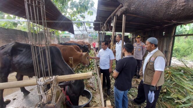 
					SIDAK: Pj Walikota Probolinggo Nurkholis dan sejumlah kepala OPD saat sidak hewan kurban. (foto: Hafiz Rozani).