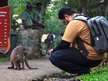 ABADIKAN MOMEN: Seorang fotografer sedang mengabadikan momen saat satwa Taman Safari Indonesia Prigen beraktivitas. (foto: Moh. Rois).