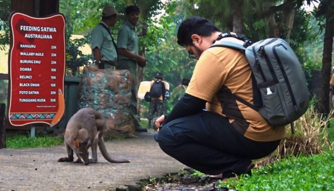 
					ABADIKAN MOMEN: Seorang fotografer sedang mengabadikan momen saat satwa Taman Safari Indonesia Prigen beraktivitas. (foto: Moh. Rois).