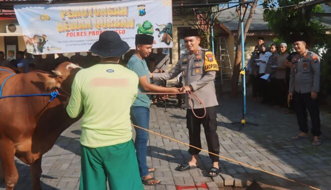 
					BERBAGI: Kapolres Probolinggo, AKBP Wisnu Wardana, menyerahkan hewan qurban kepada perwakilan masyarakat Kabupaten Probolinggo.  (foto: Ali Ya'lu).