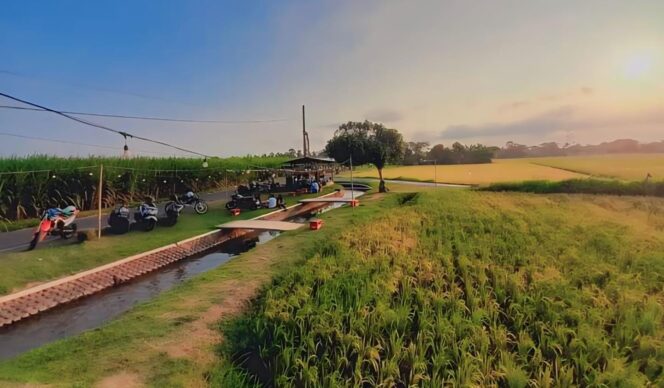 
					NONGKI ASYIK: Suasana ngopi tepi sawah di  Desa Kalipepe, Kecamatan Yosowilangun, Kabupaten Lumajang. (Foto: istimewa).