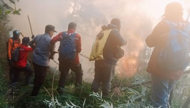 
					KARHUTLA: Proses pemadaman api di lereng Gunung Bromo sisi Pasuruan oleh petugas gabungan. (foto: Moh. Rois).