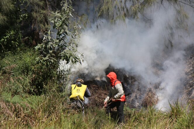 
					KERJA KERAS: Tim gabungan berusaha memadamkan api yang melalap kaki Gunung Batok di kawasan Bromo. (foto: Moh. Rois)