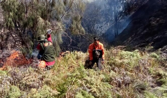 
					BERJIBAKU: Petugas gabungan berupaya memadamkan api yang melalap kawasan Gunung Batok. (foto: Istimewa).