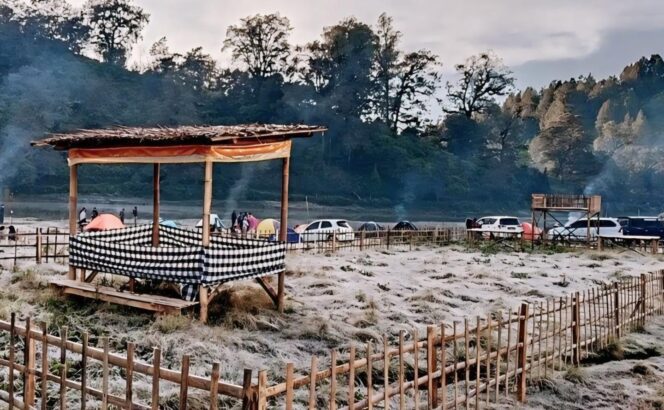 
					SELIMUT SALJU: Kawasan wisata Ranu Pani Lumajang berselimut kristal salju atau embun upas. (foto: IG anabilfaizinanabilfaizin).