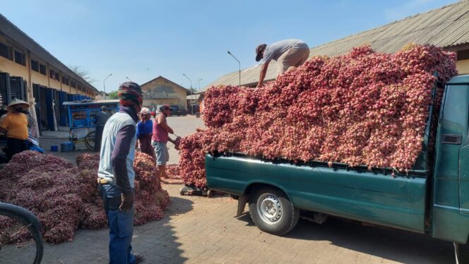 
					HARGA ANJLOK: Situasi pasar bawang merah di Kecamatan Dringu, Kabupaten Probolinggo. (foto: Hafiz Rozani).