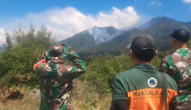 
					Akibat kebakaran hutan dan lahan di kawasan Taman Nasional Bromo Tengger (TNBTS), tepatnya di Gunung Ebeng-ebeng Desa Argosari, Kecamatan Senduro, Kabupaten Lumajang kehidupan satwa terganggu.