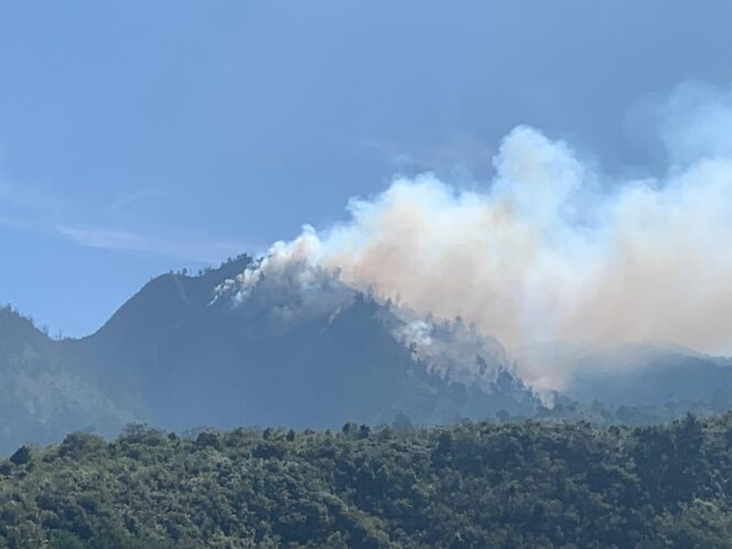 
					Kebakaran hutan dan lahan (Karhutla) di sekitar wisata Puncak B29 Kabupaten Lumajang, Senin (2/9/2024). 