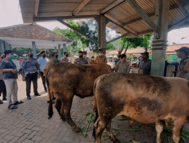 RAMAI: Aktivitas jual-beli ternak di Pasar Hewan Wonoasih, Kota Probolinggo. (foto: Hafis Rozani).
