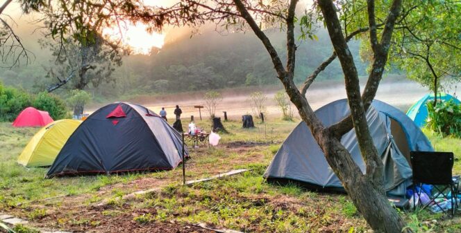 
					Ranu Regulo sangat cocok untuk kegiatan berkemah (camping) atau sekadar beristirahat menikmati keindahan alam. 