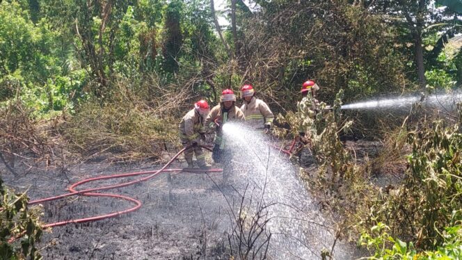 
					TERBAKAR: Petugas Damkar Kota Probolinggo berjibaku memadamkan api yang membakar lahan gambut di Jl. Arief Rahman Hakim. (foto: Hafiz Rozani)
