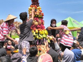 Warga Desa Kedungrejo, Kecamatan Rowokangkung, Kabupaten Lumajang berebut empat gunungan dari hasil para petani.