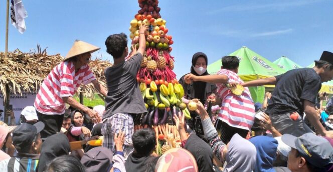 
					Warga Desa Kedungrejo, Kecamatan Rowokangkung, Kabupaten Lumajang berebut empat gunungan dari hasil para petani.