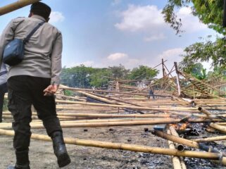 Pembongkaran arena sabung ayam. (Foto : Asmadi)