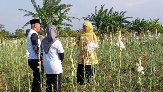 
					Keterangan foto, DICURHATI: Khofifah Indar Parawansa saat mendengarkan keluh kesah petani Bunga Sedap Malam di Pasuruan. (foto: Moh. Rois).