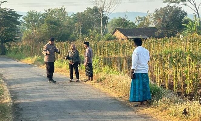 
					SELIDIKI: Sejumlah aparat kepolisian saat mendatangi TKP begal di Desa Klampokan, Kecamatan Besuk, Kabupaten Probolinggo. (foto: Ali Ya'lu).