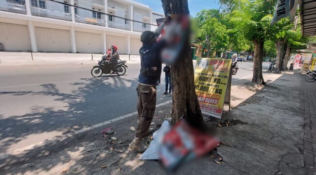 DICOPOT: Petugas Satpol PP saat menertibkan APK di Jalan Cokroaminoto, Kota Probolinggo. (foto paslon di blur)
