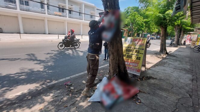 
					DICOPOT: Petugas Satpol PP saat menertibkan APK di Jalan Cokroaminoto, Kota Probolinggo. (foto paslon di blur)
