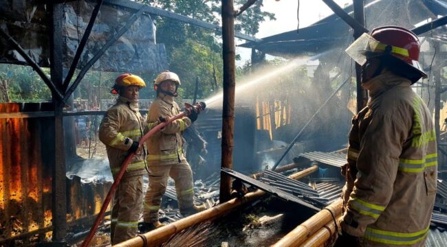 TERBAKAR: Petugas Damkar Kota Probolinggo melakukan pemadaman kandang sapi yang dilalap si jago merah. (foto: istimewa)