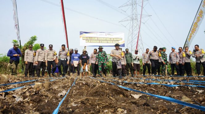 
					Kapolres Probolinggo Kota, AKBP Oki Ahadian Purwono beserta jajaran menanam jagung (Foto: Istimewa)
