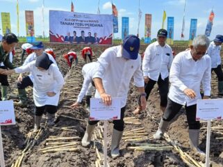 Sejumlah kementerian menggelar Kick off Program Manis menuju Swasembada Gula Nasional di areal perkebunan tebu PG Djatiroto - Lumajang.