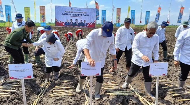 Sejumlah kementerian menggelar Kick off Program Manis menuju Swasembada Gula Nasional di areal perkebunan tebu PG Djatiroto - Lumajang.