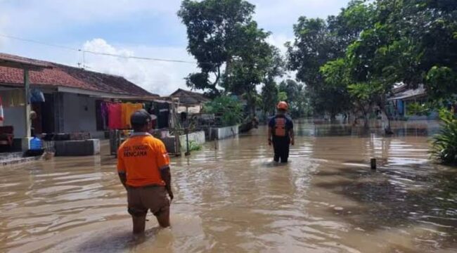 Banjir di Desa Rowokangkung Lumajang.