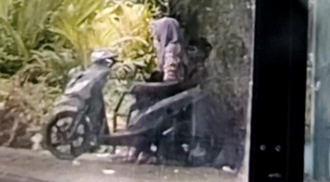 Tangkapan layar video adegan tak pantas yang dilakukan sepasang pelajar di halaman GOR Sasana Krida Kraksaan.