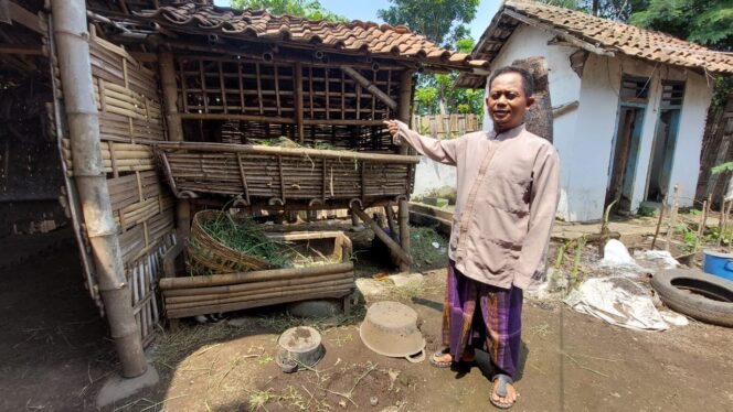 
					KEMALINGAN: Pemilik kambing, Ahmad Ribut, saat menunjukkan kandang kambing miliknya yang dimasuki maling.