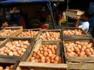 Penjual telur di Pasar Baru Lumajang.