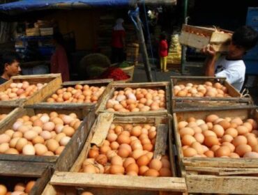 Penjual telur di Pasar Baru Lumajang.