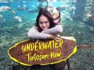 Pengunjung bisa foto di bawah air (underwater) bersama ikan di pemandian alam Tirtosari, Lumajang.