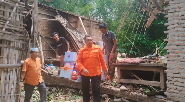 MITIGASI: Kalaksa BPBD Kabupaten Probolinggo, Oemar Sjarif saat melihat langsung rumah yang ambruk tertimpa pohon di Desa Kalikajar Wetan Kecamatan Paiton, beberapa waktu lalu. (foto: Ali Ya'lu).
