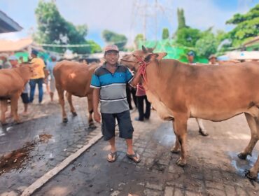 SEPI: Pasar Hewan Wonoasih Kota Probolinggo sepi pengunjung akibat kembali merebaknya virus PMK. (foto: Hafiz Rozani).
